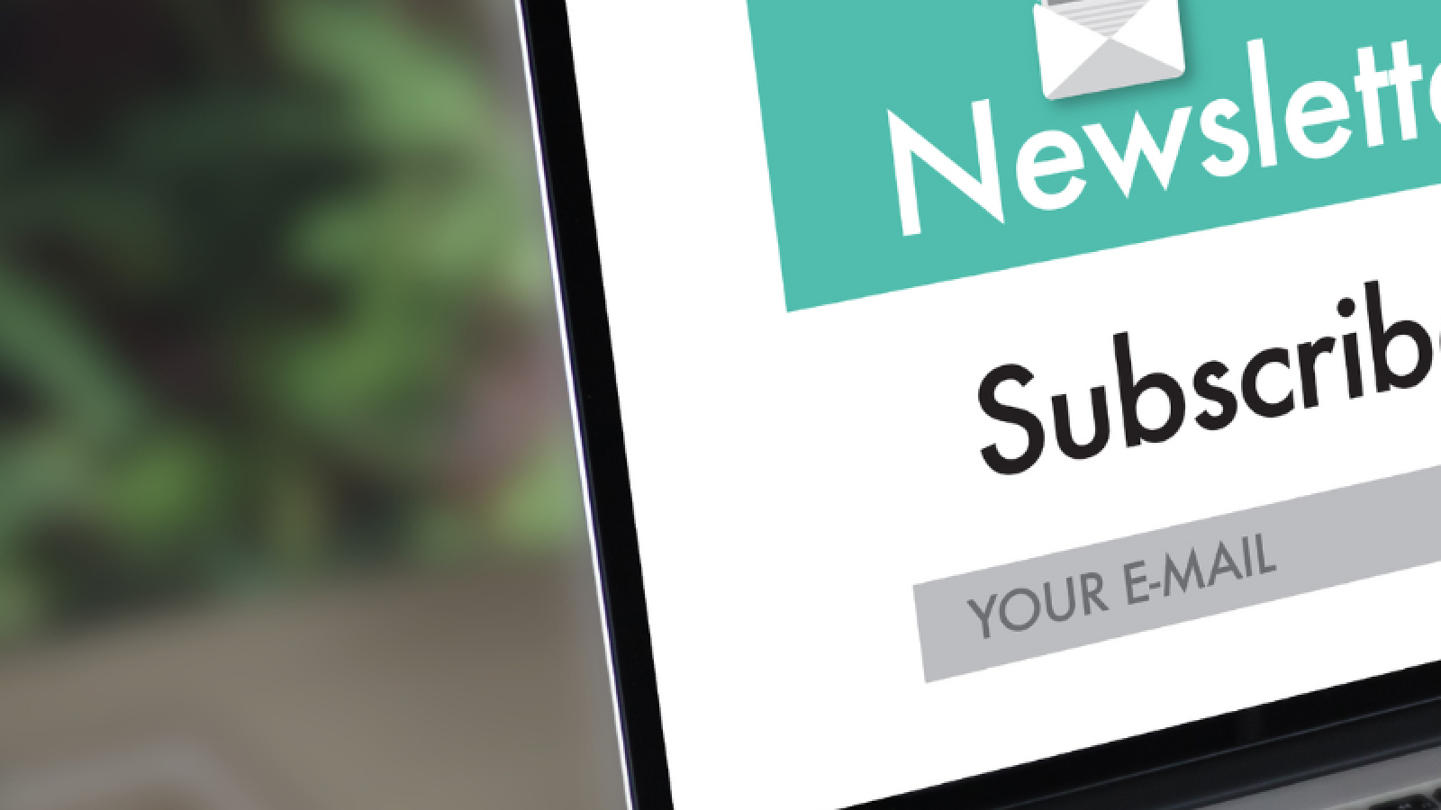 computer screen with newsletter sign up 